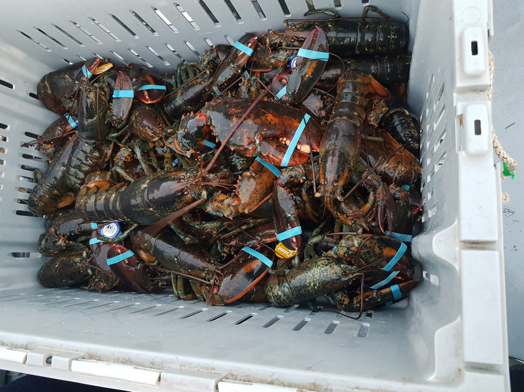 L'omirlou-Bonaventure必去景点