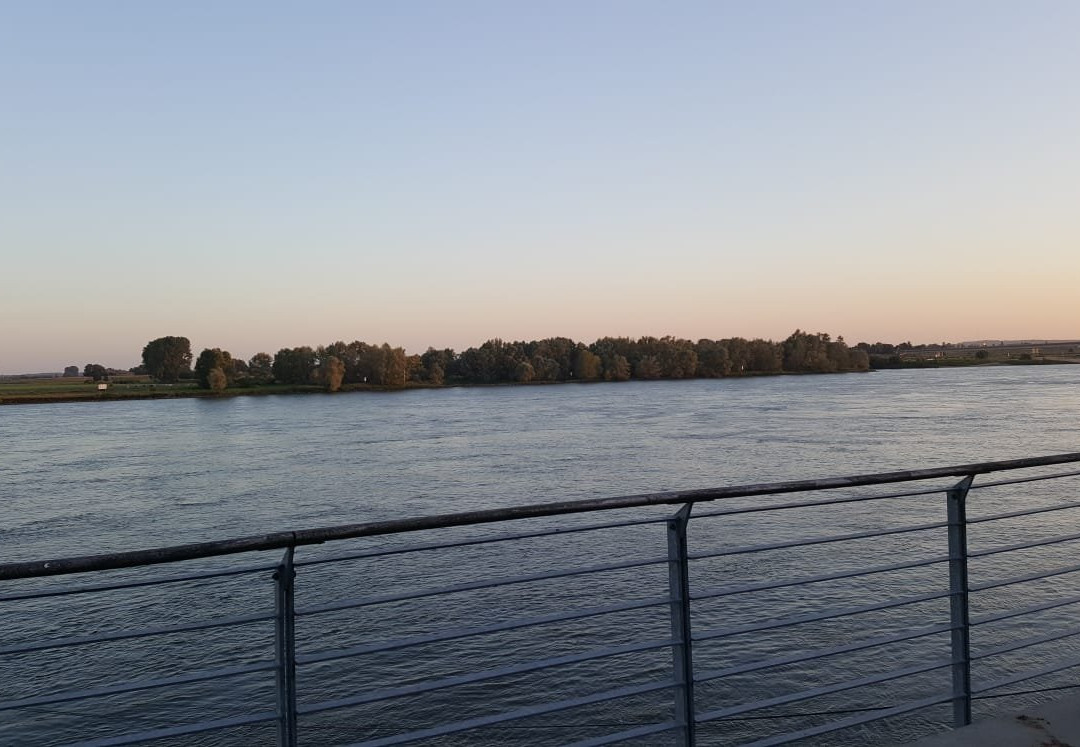 Rheinpromenade景点图片