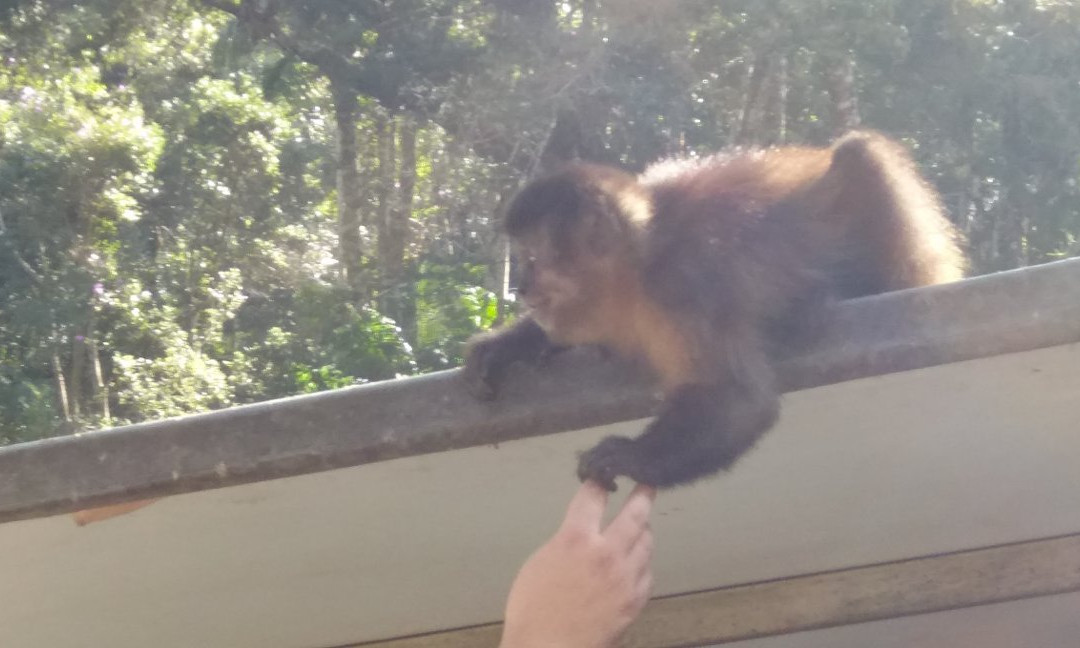 Fonte dos Desejos-Pocos de Caldas必去景点