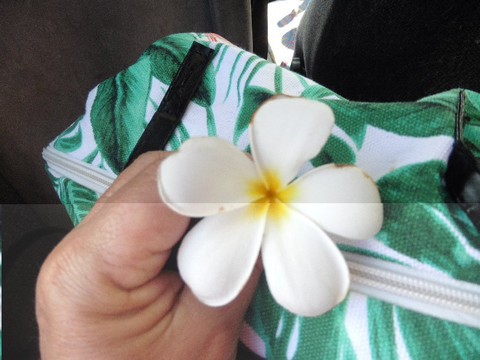 North Shore Tours & Beach Bus-火奴鲁鲁必去景点