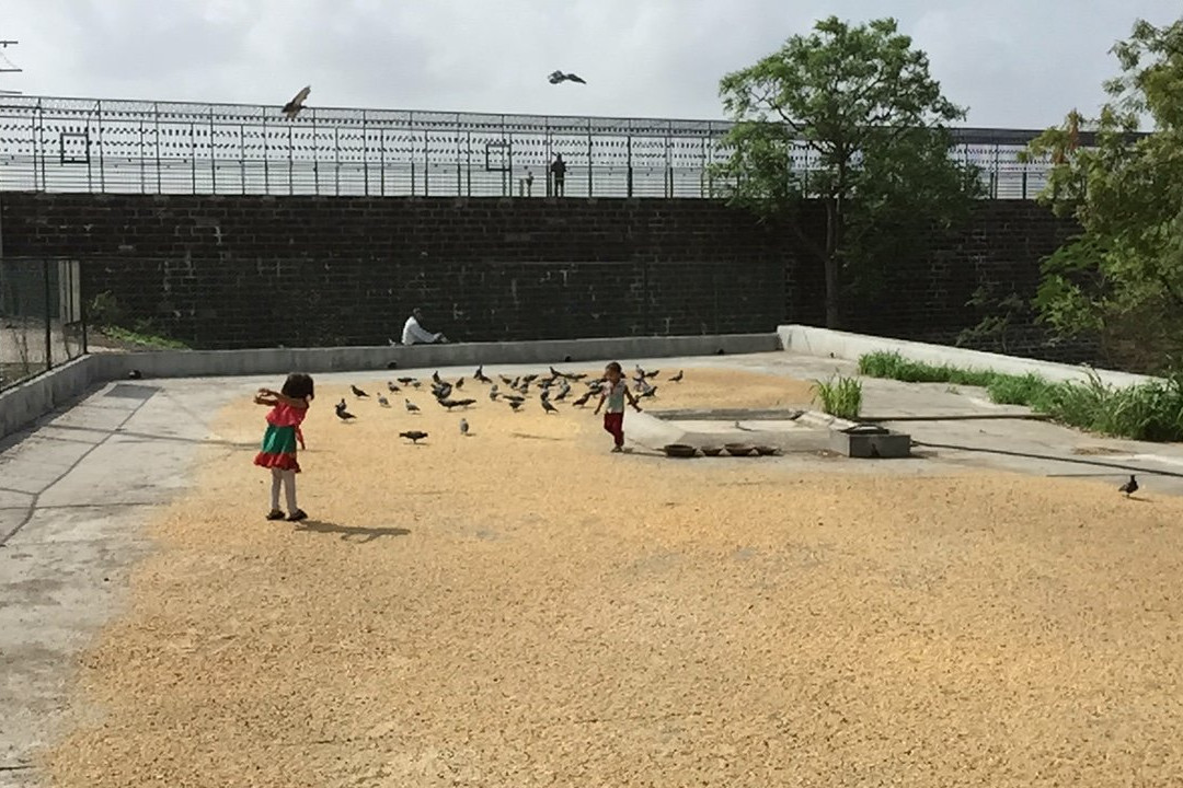Aji Dam Garden-杰拉果德必去景点