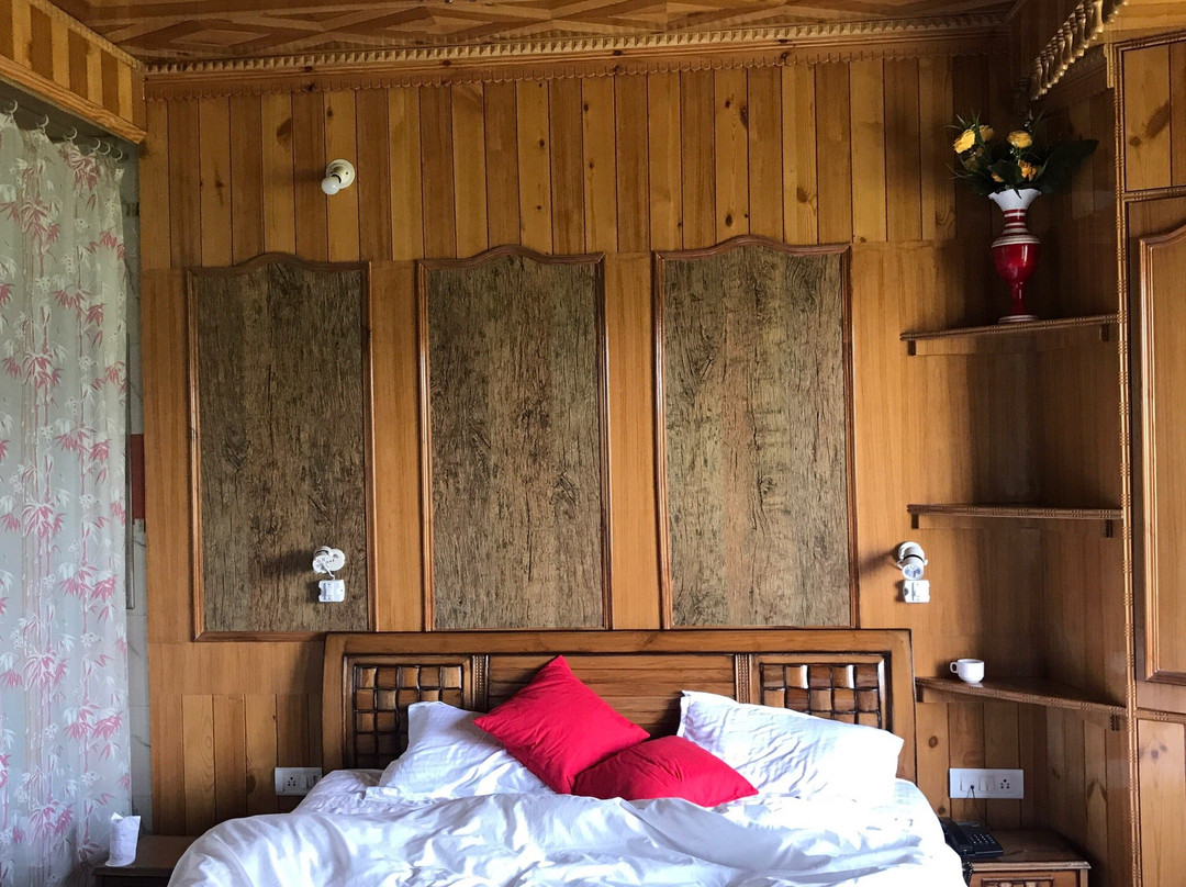 Hotel Shimla Hills International主图