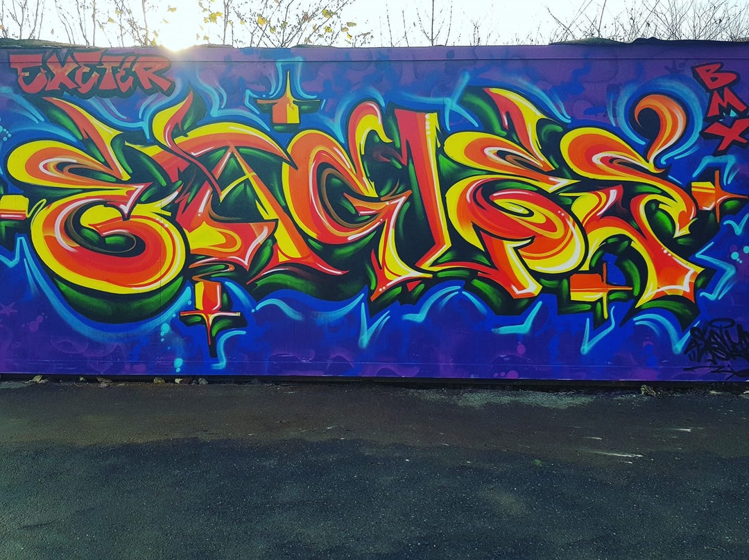 Exeter Eagles BMX景点图片