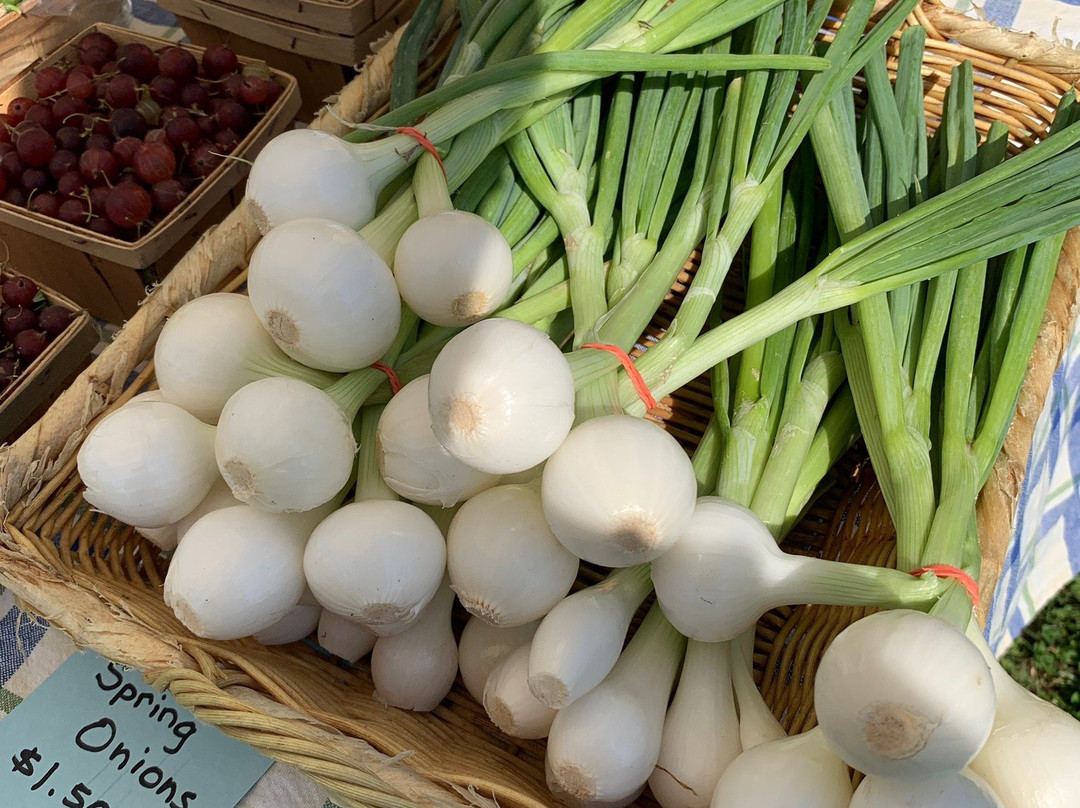 Asbury Church Farmers Market-Smyrna必去景点