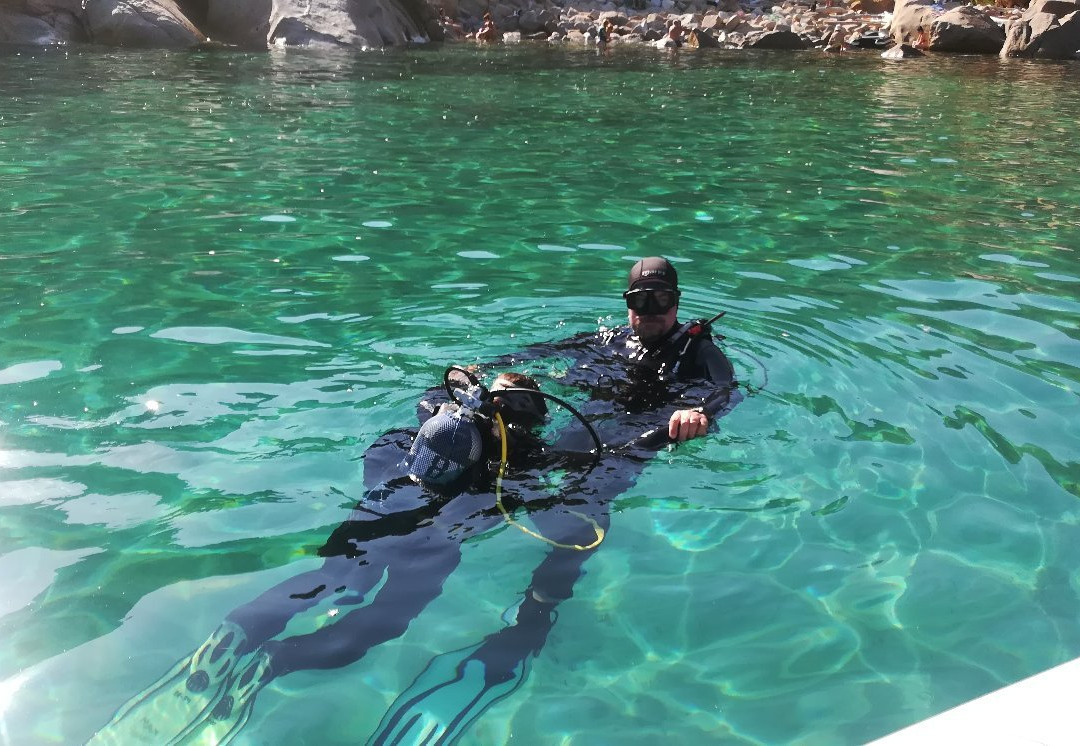 Max Shark Diving-Isola del Giglio必去景点