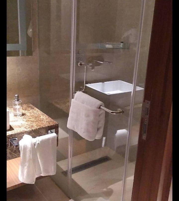 Nirvana Sarovar Portico主图