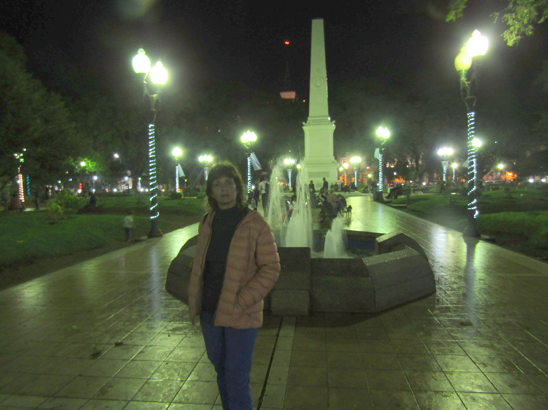 Plaza General Francisco Ramirez景点图片