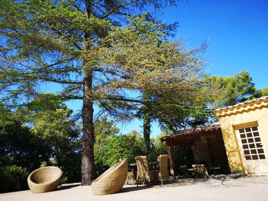 Domaine de la Tourelle主图