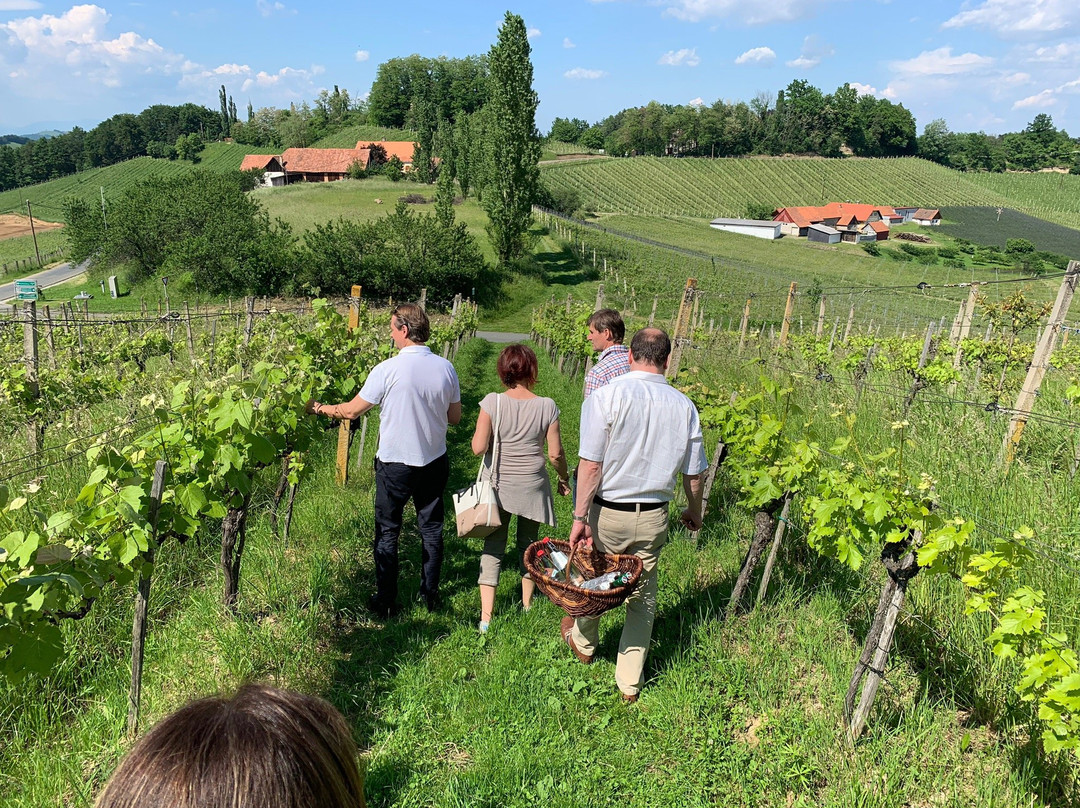 Weingut Söll景点图片