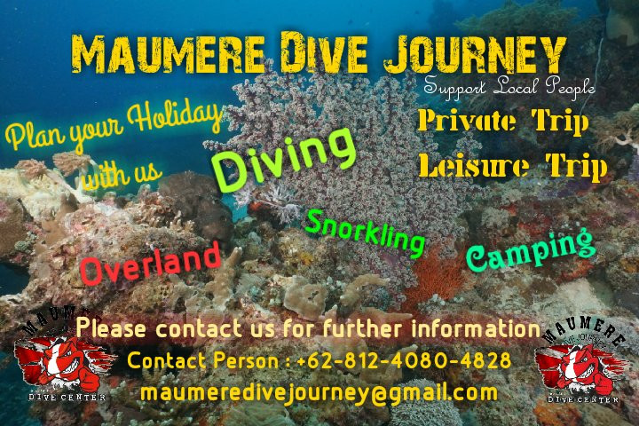 Maumere Dive Journey-Maumere必去景点