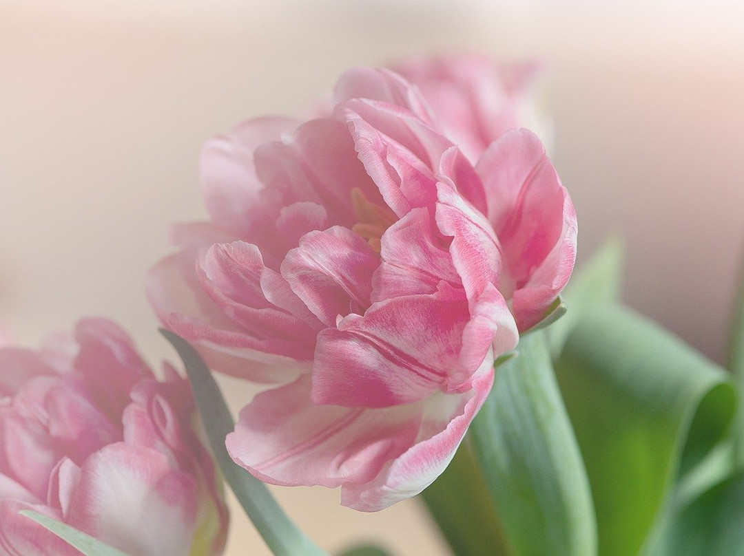 Park Fabrichny Prud-Reutov必去景点