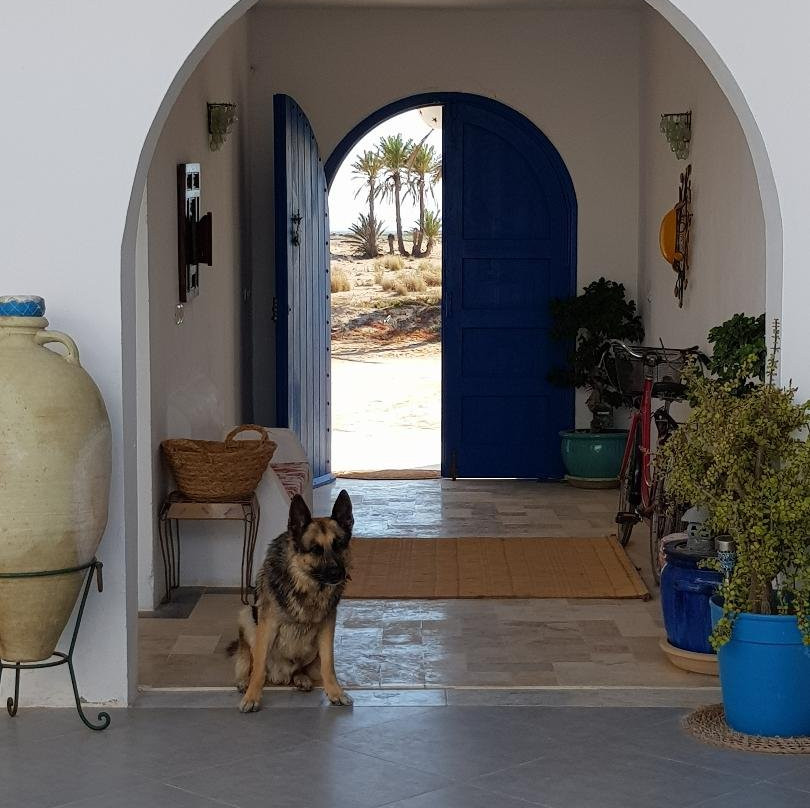 Dar Chick Yahia主图