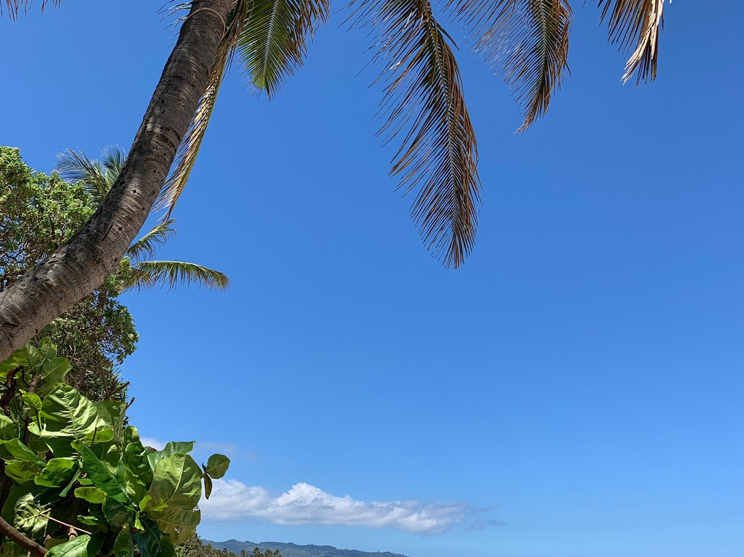 Lost Survivors Beach Camp-哈雷瓦必去景点