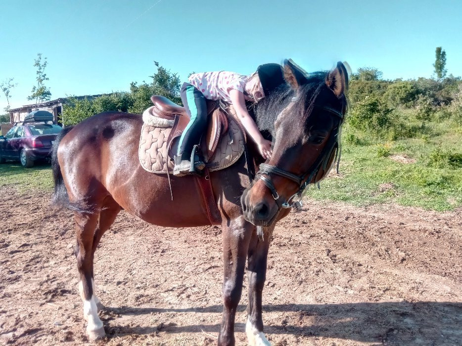 Horse Riding Zadar-扎达尔必去景点