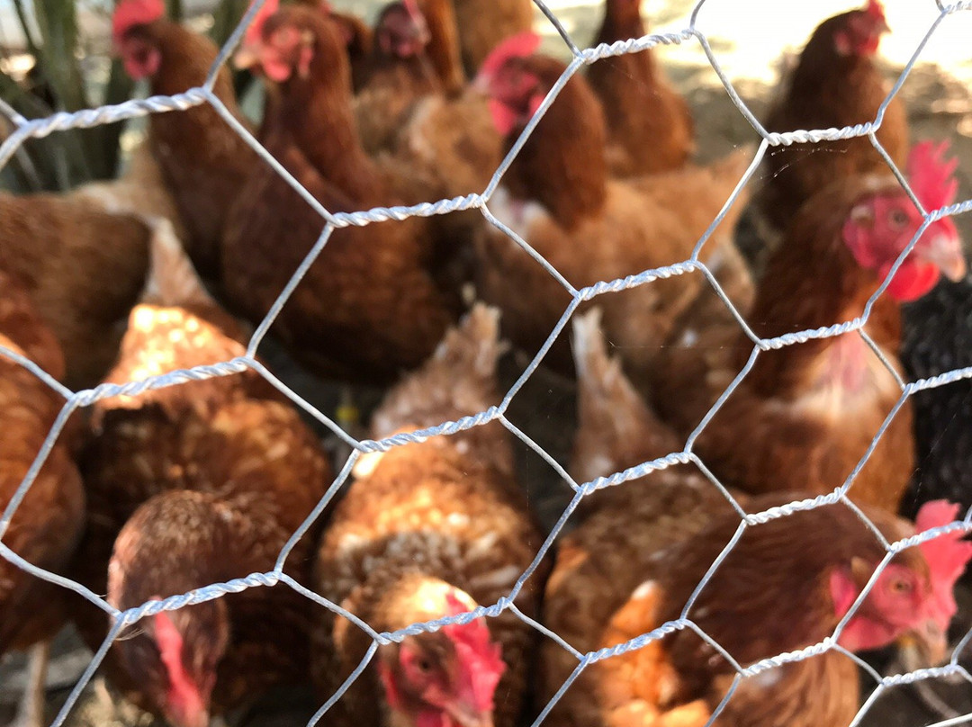 金斯布里奇酒店住宿-Seaflowers