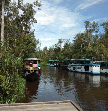 Borneo Wisata-Pangkalan Bun必去景点