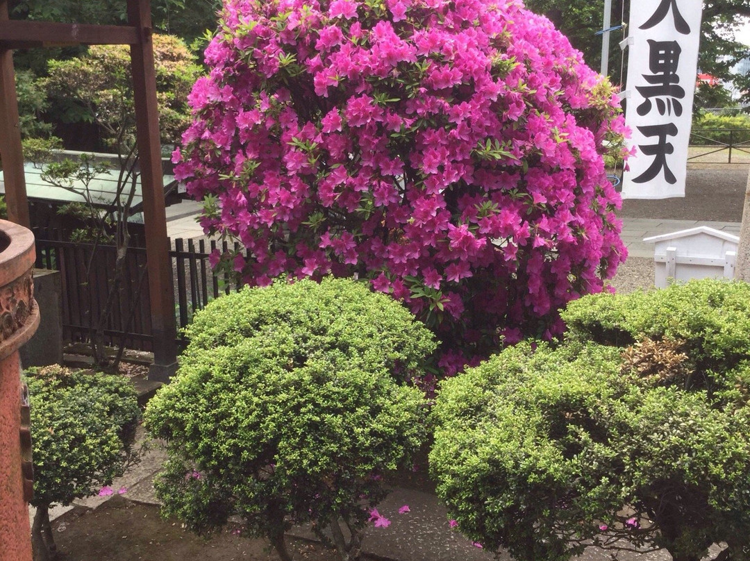 Honmon-ji Temple-京丹波町必去景点