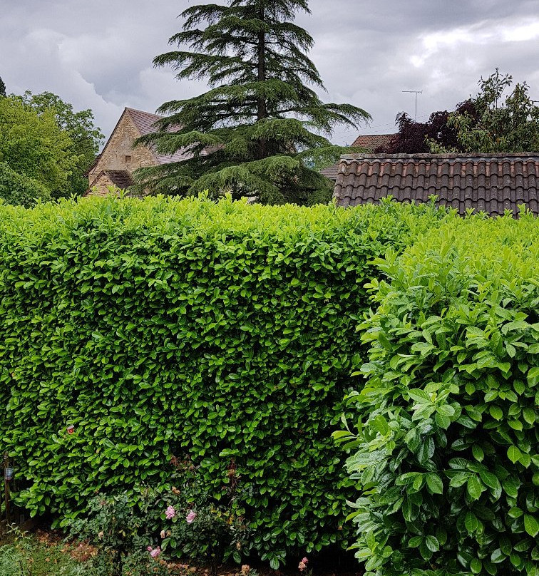 Auberge Du Relais D'auniac主图