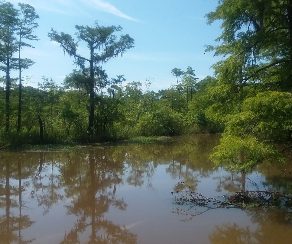Neches River Adventures-博蒙特必去景点