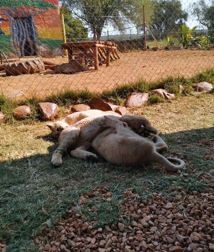 Rustenzicht Lodge and Wedding Venue主图