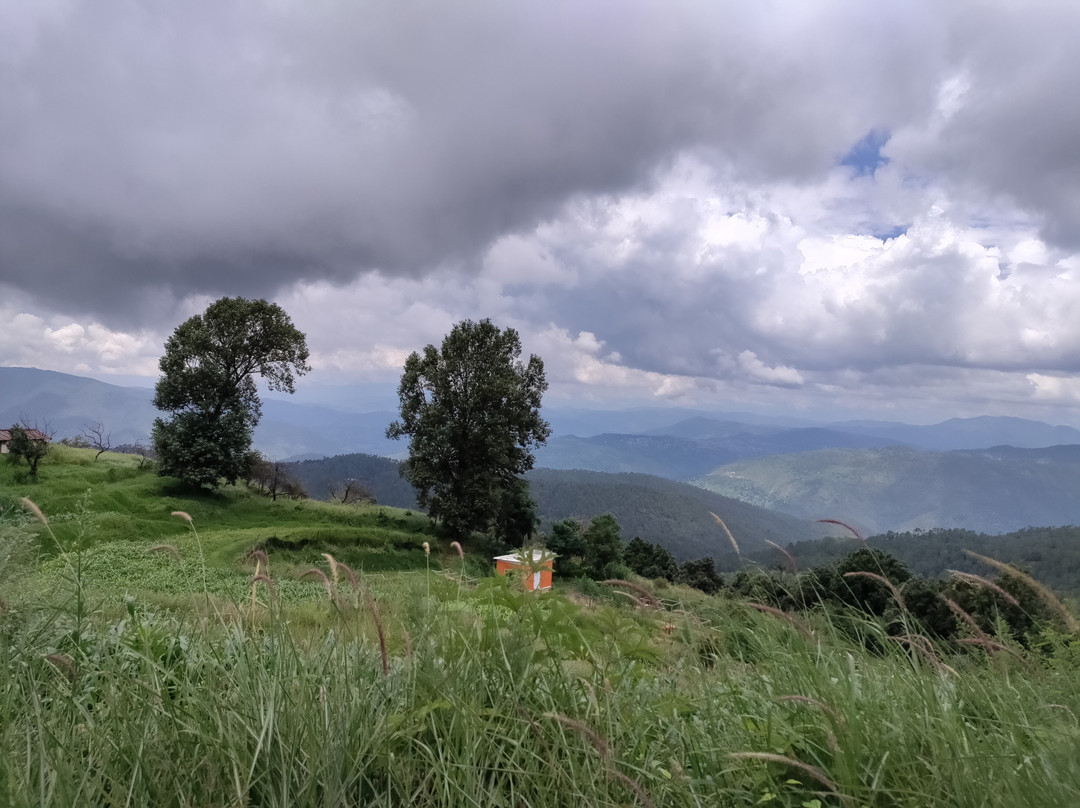 Himalayan Heritage Home