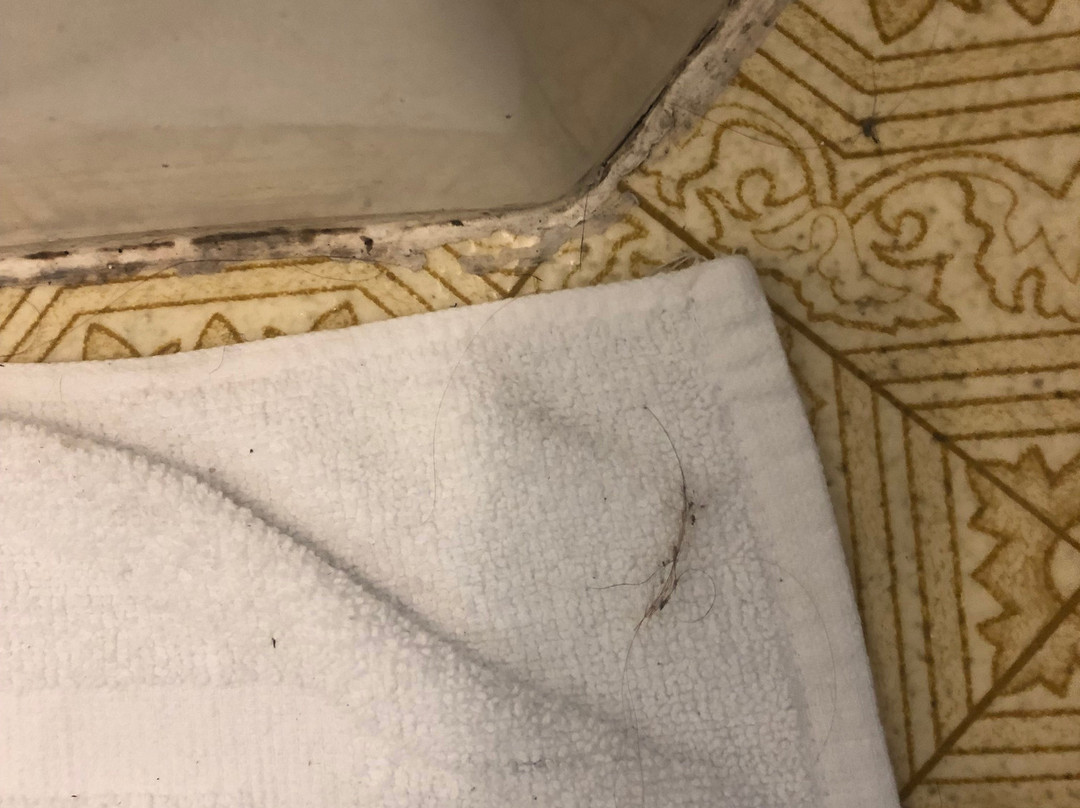 Lake Shasta Lodge主图