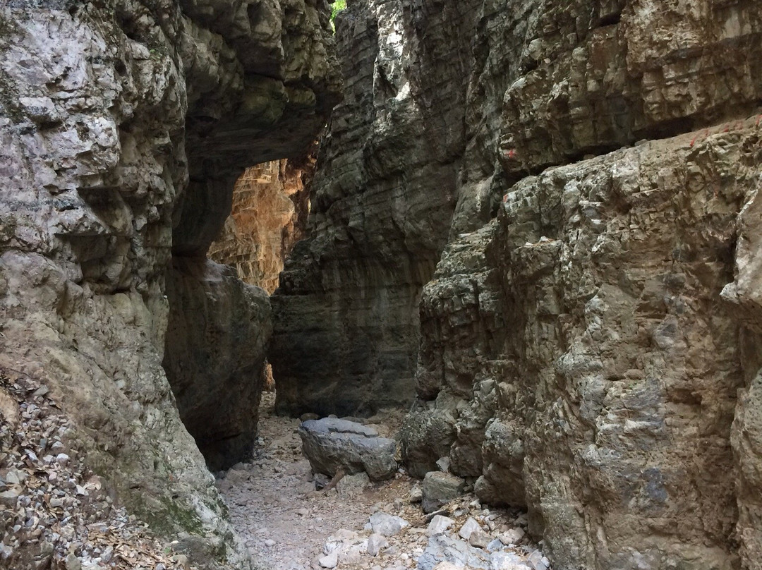 Imbros Gorge with Elena Tours景点图片