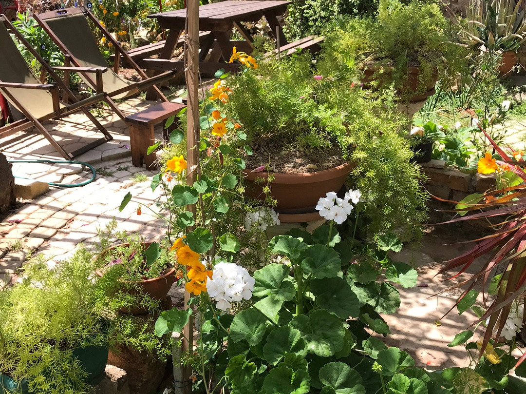 Secret Garden Walled City主图