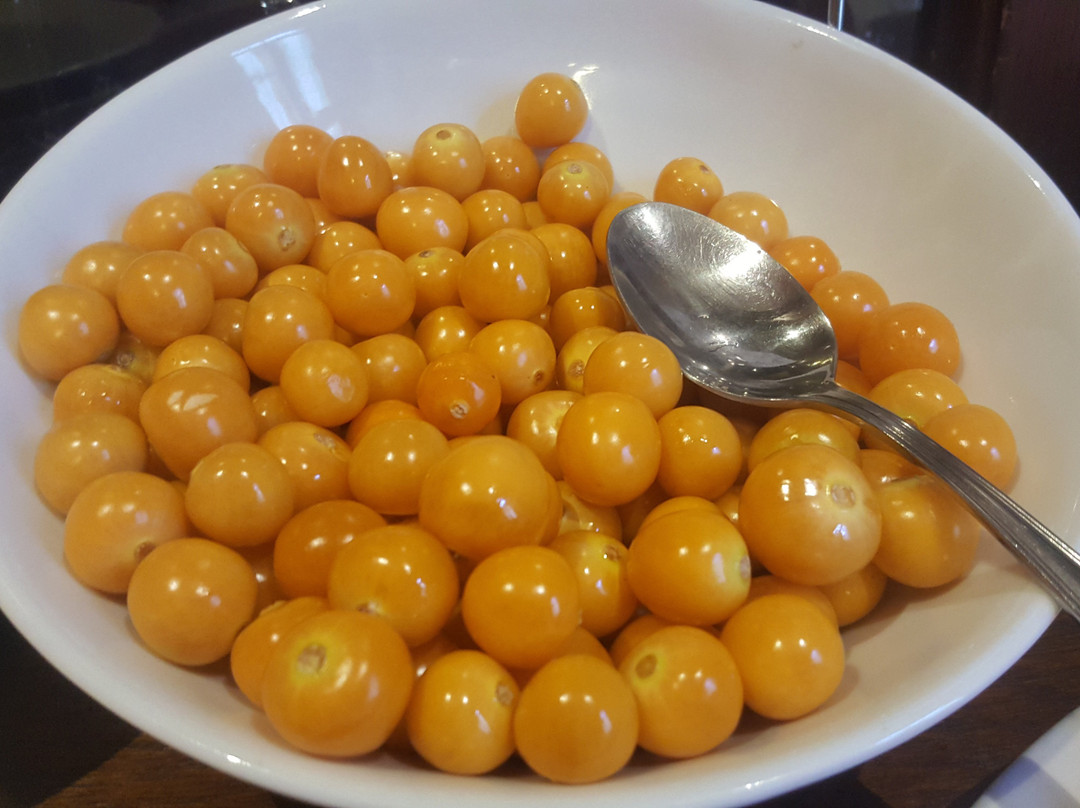 卡瑟纳隆达世袭精品酒店主图