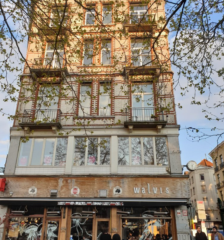 Rue Antoine Dansaert景点图片