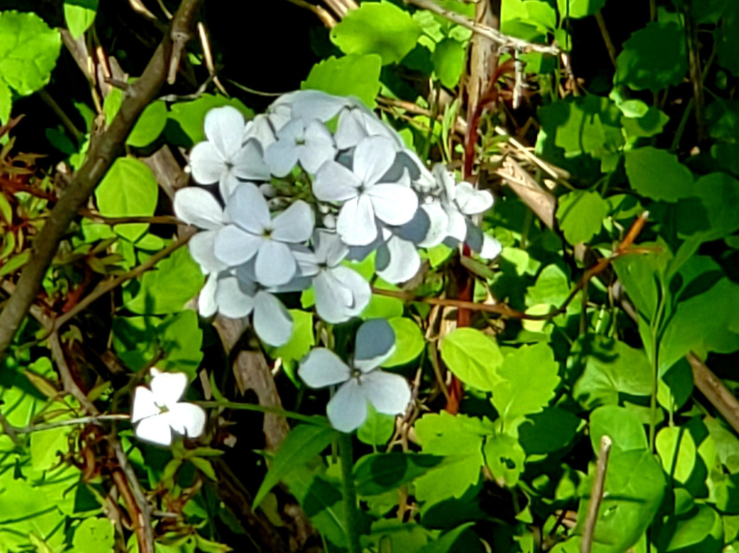 Bowdoin Park-Wappingers Falls必去景点