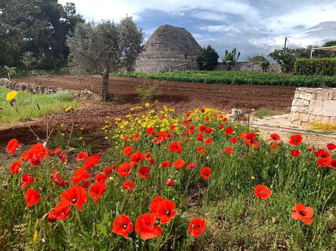 Trulli Paparale主图