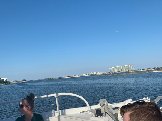 Southern Rose Dolphin Cruises-橙色海湾必去景点