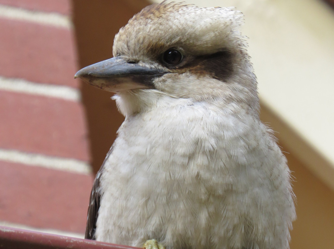 奥森达乡村小屋主图