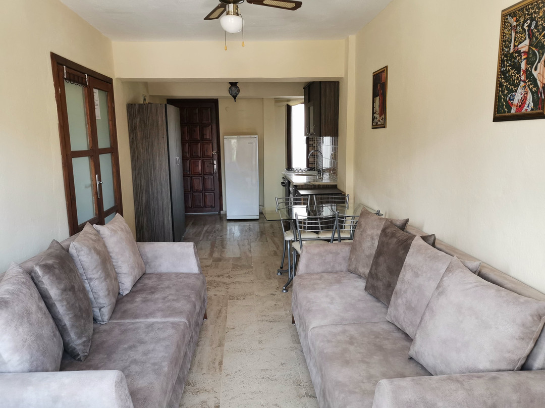 Ilkim Apart Otel主图