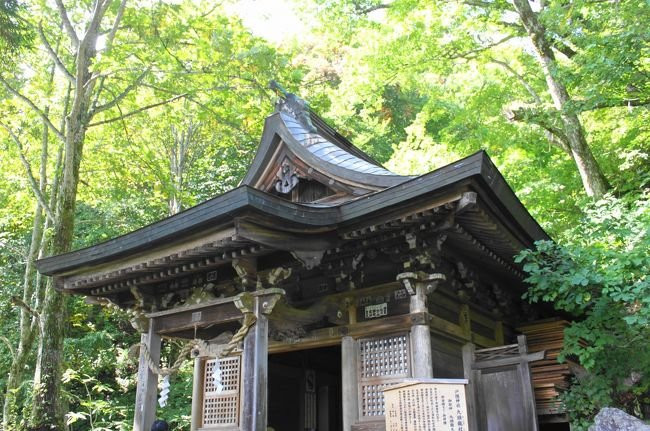 Togakushi Shrine Kuzuryusha景点图片