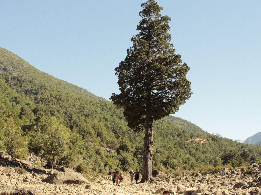 Andes Maule Travel-Linares必去景点