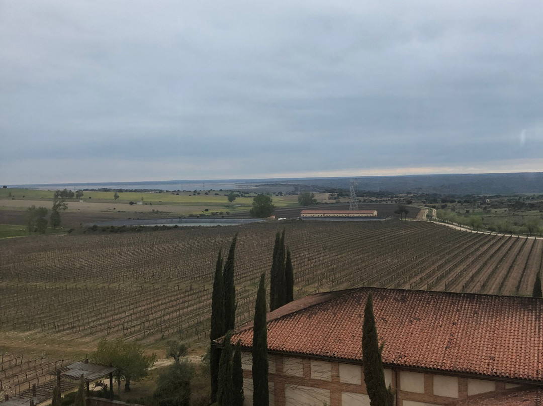 佐里塔庄园自然保护区酒店主图