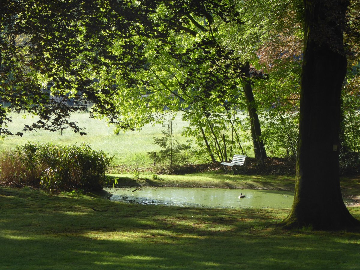 Fletcher Hotel-Restaurant Paasberg-酒店景观