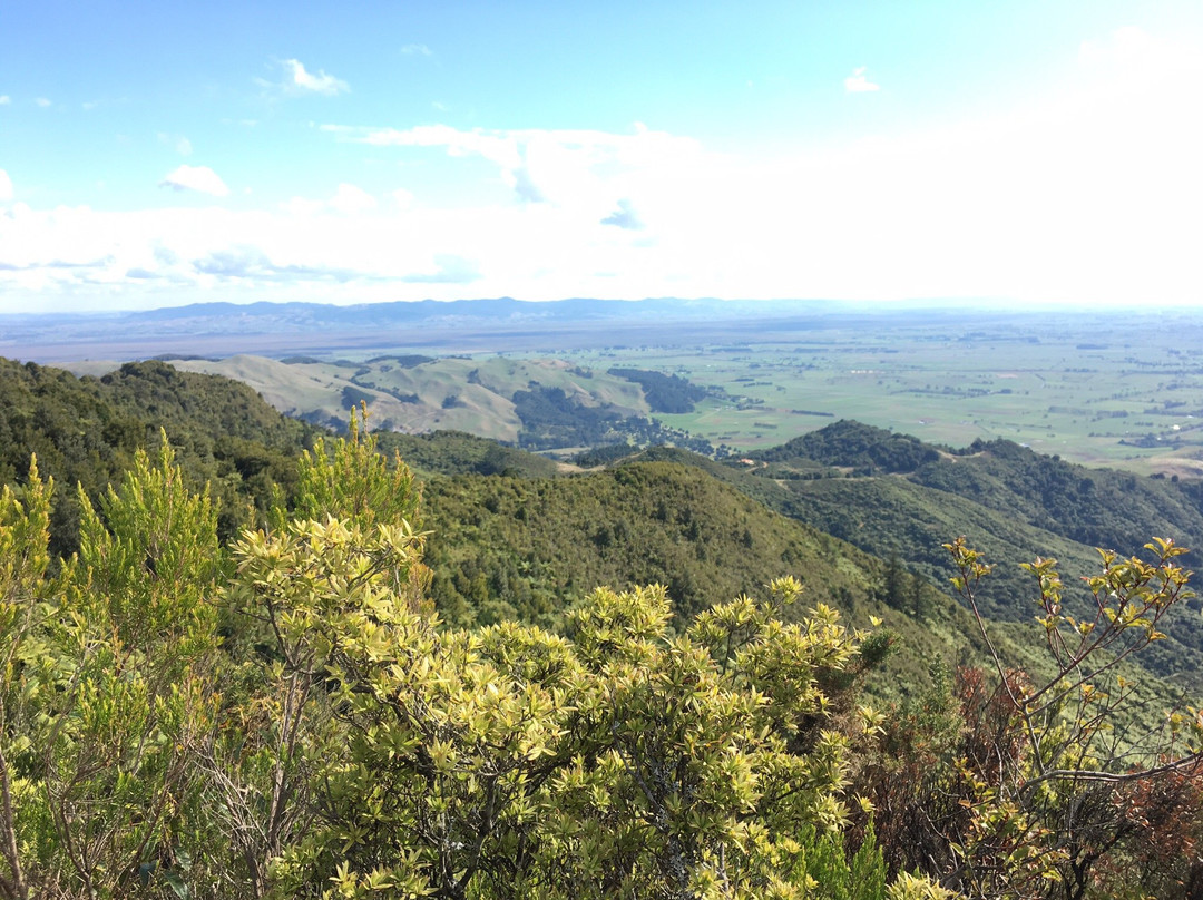 Karangahake Mountain Track Loop