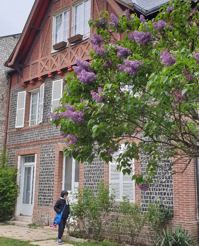 Les Polyanthas主图
