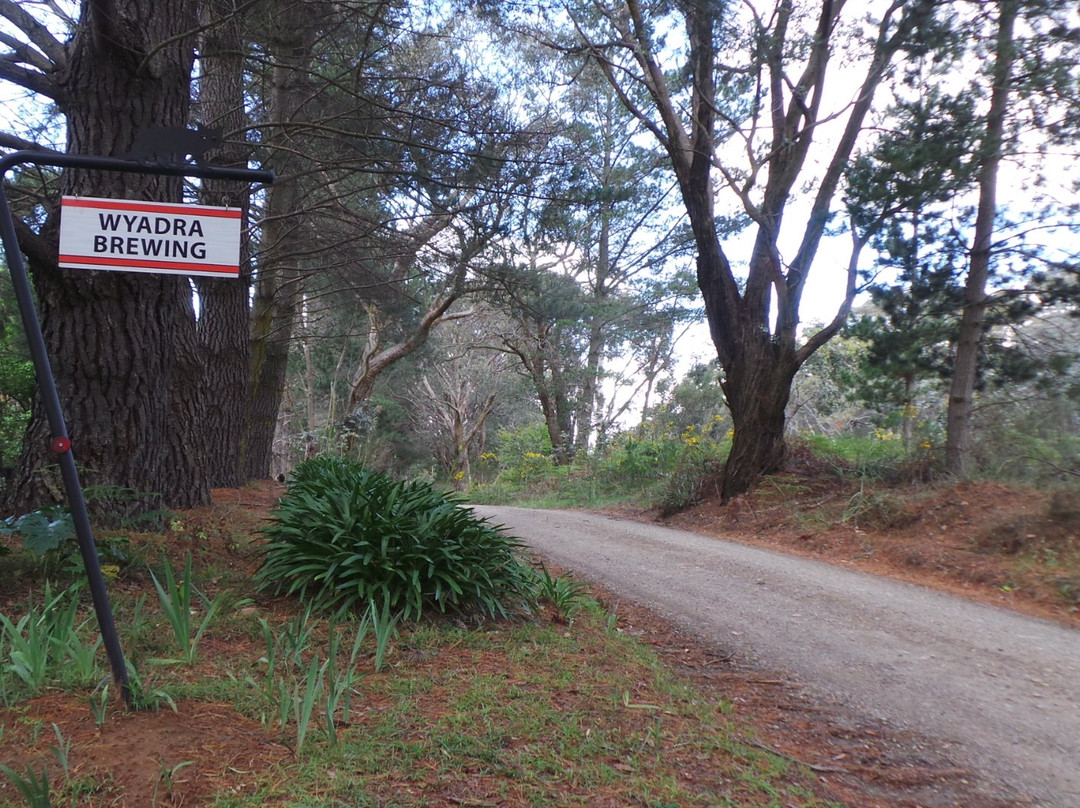 Wyadra Brewing-Tallong必去景点