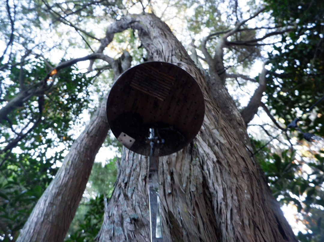 Meadowood Country House主图