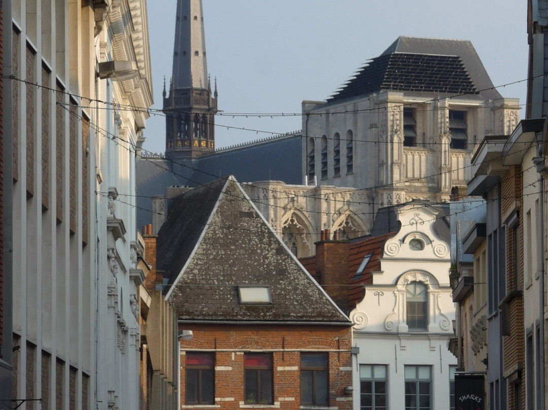 Saint Peter's Church (Sint-Pieterskerk)-鲁汶必去景点