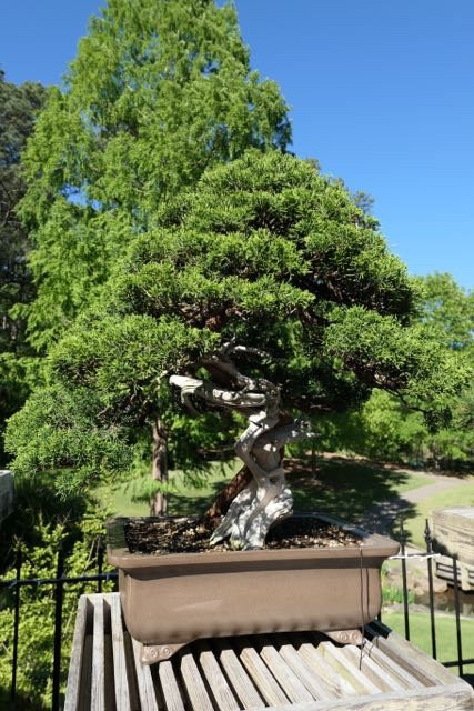 Aldridge Gardens-Hoover必去景点