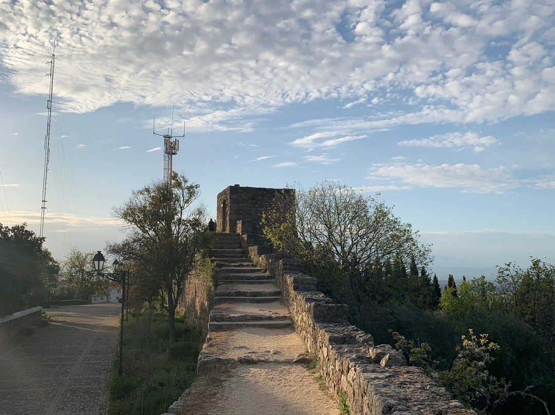 Castelo dos Templarios景点图片