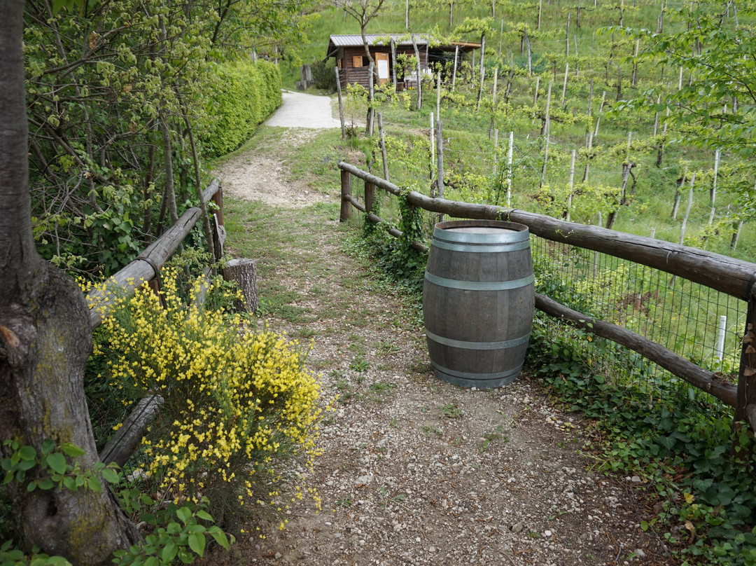 Azienda Agricola Le Volpere景点图片