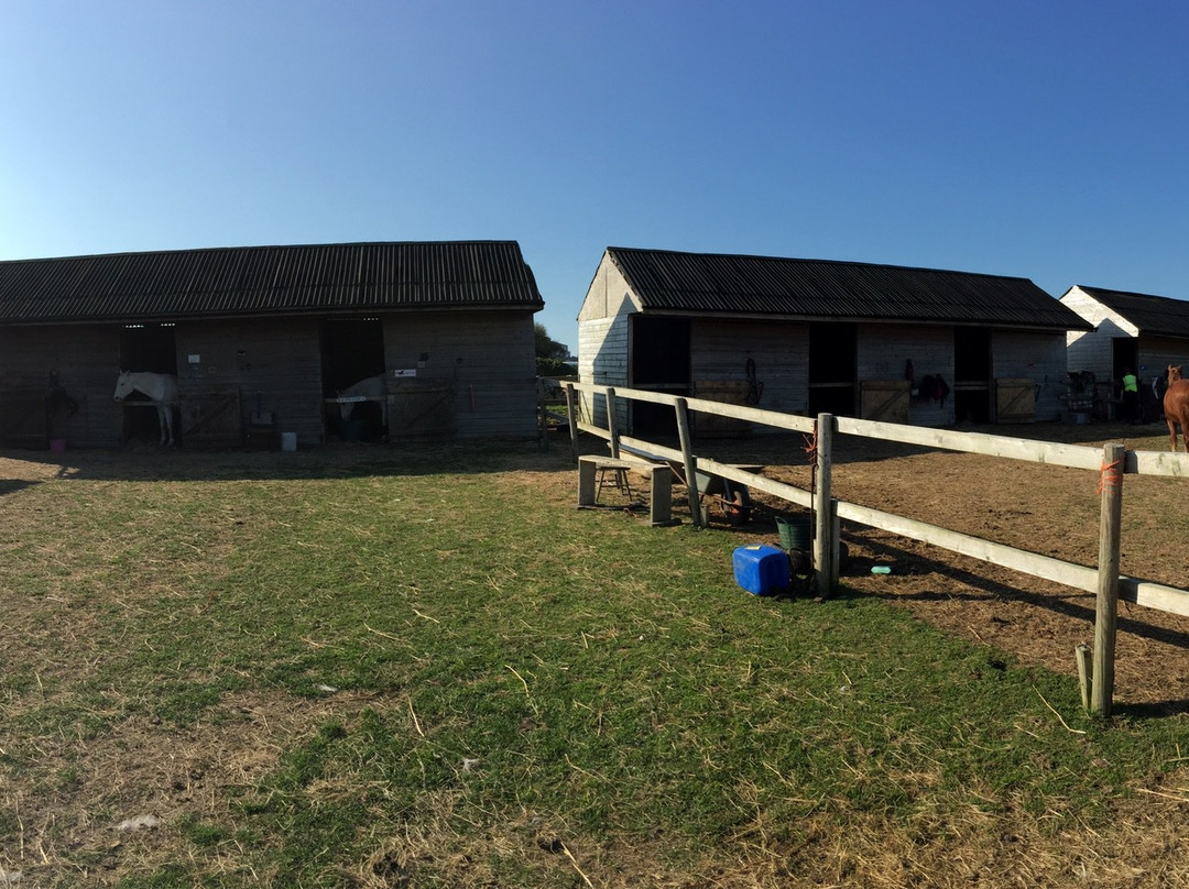Chesil Equestrian Centre景点图片