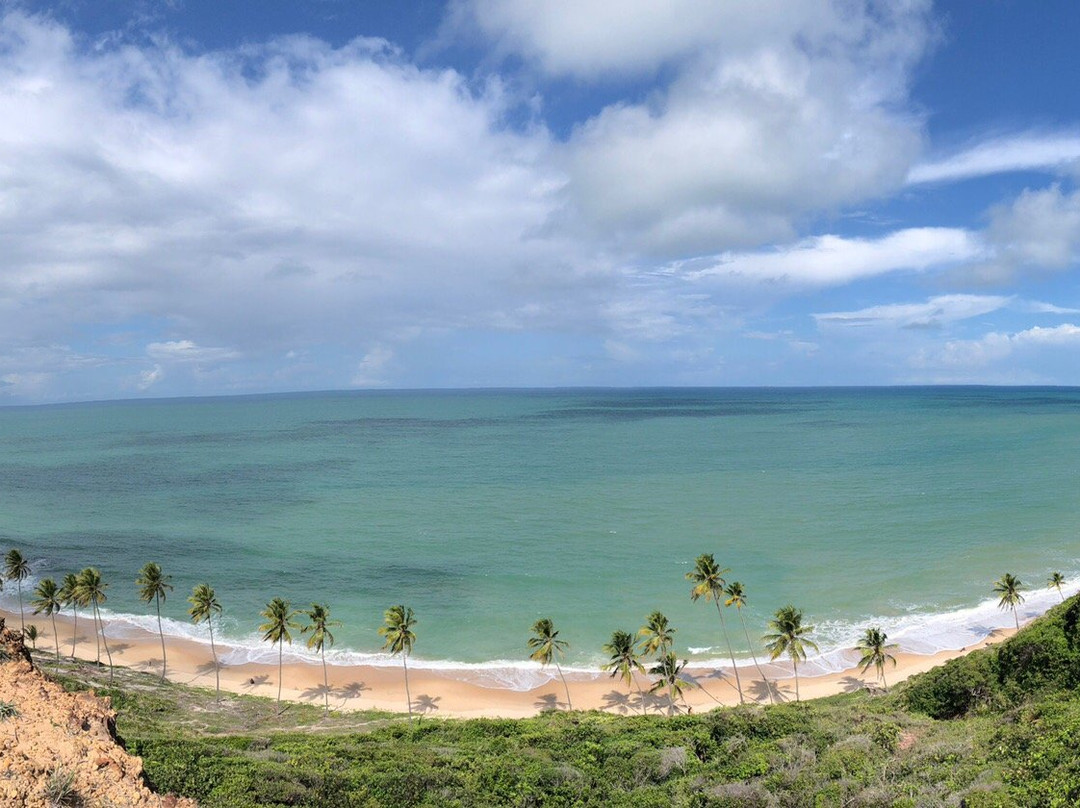 Coqueirinho Beach景点图片