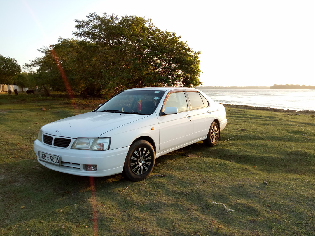 Green citizens tours srilanka-蒂瑟默哈拉默必去景点